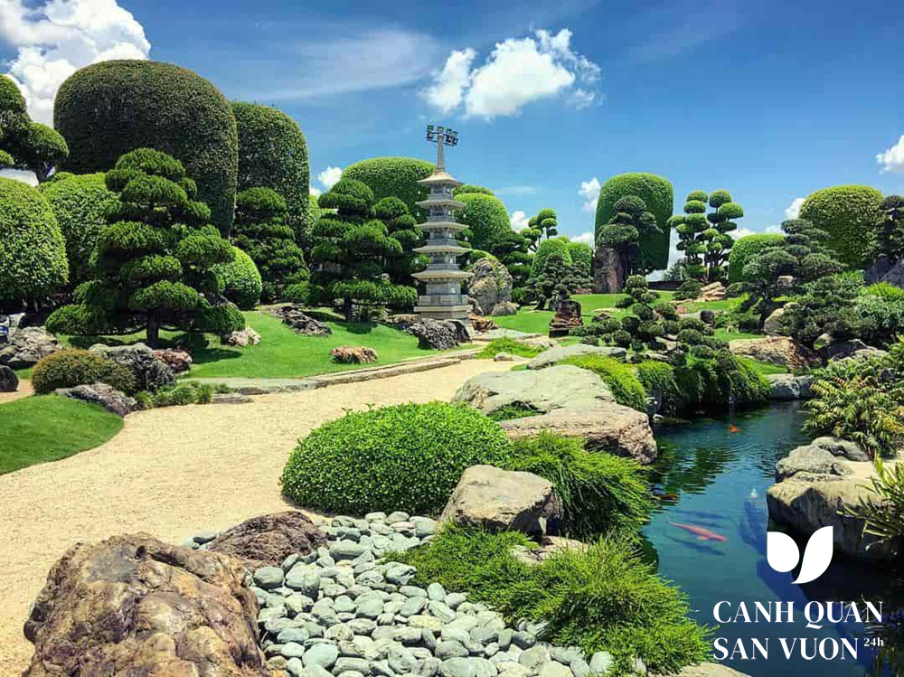 Top 4 nhóm cây cảnh sân vườn mang đến tài lộc, bình an cho gia đình 1 cay canh san vuon 2