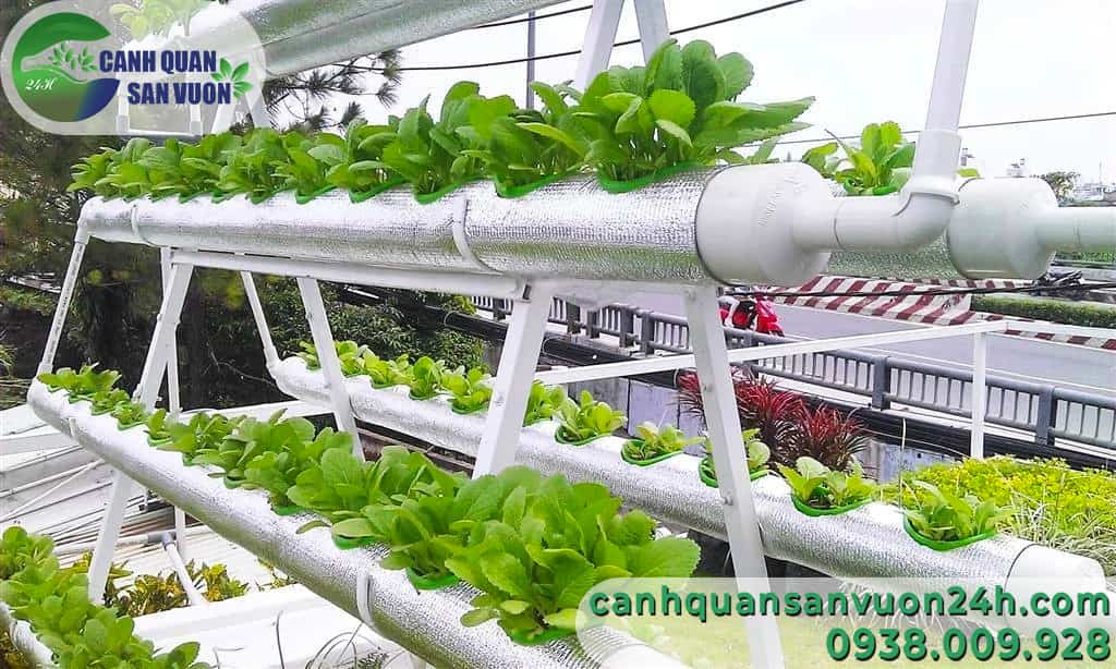 Tham quan 4 vườn rau hữu cơ Organic đẹp nhất Việt Nam  Bản Tin Đắk Lắk