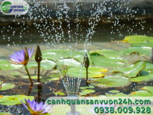 thi-cong-dai-phun-nuoc-tuyet-dep-trong-dam-hoa-sung