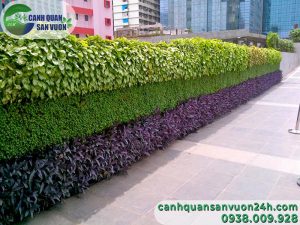 báo giá Thi công vườn tường nghệ thuật