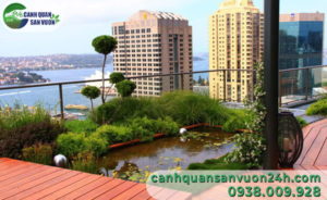 loi-ich-thiet-ke-tieu-canh-tren-mai