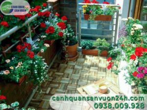 muon-hoa-tuyet-dep-cho-ban-cong-nho