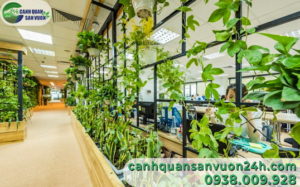 thi-cong-tieu-canh-xanh-mat-cho-van-phong