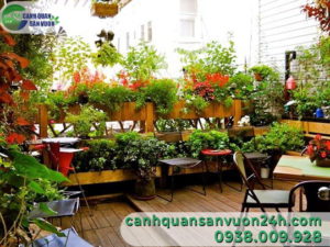 mau-thiet-ke-vuon-cay-xinh-xan-cho-ban-cong-nho