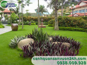 mau-thi-cong-tieu-canh-san-vuon-cho-cac-nha-biet-thu