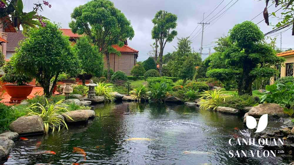 cay canh san vuon 3