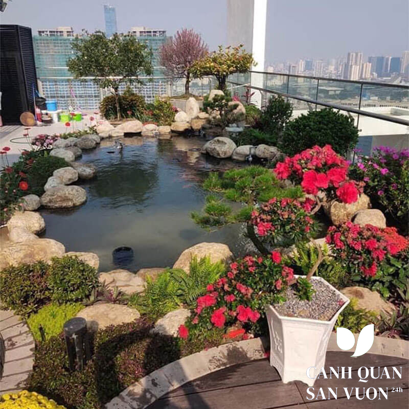 ho ca koi san thuong 5