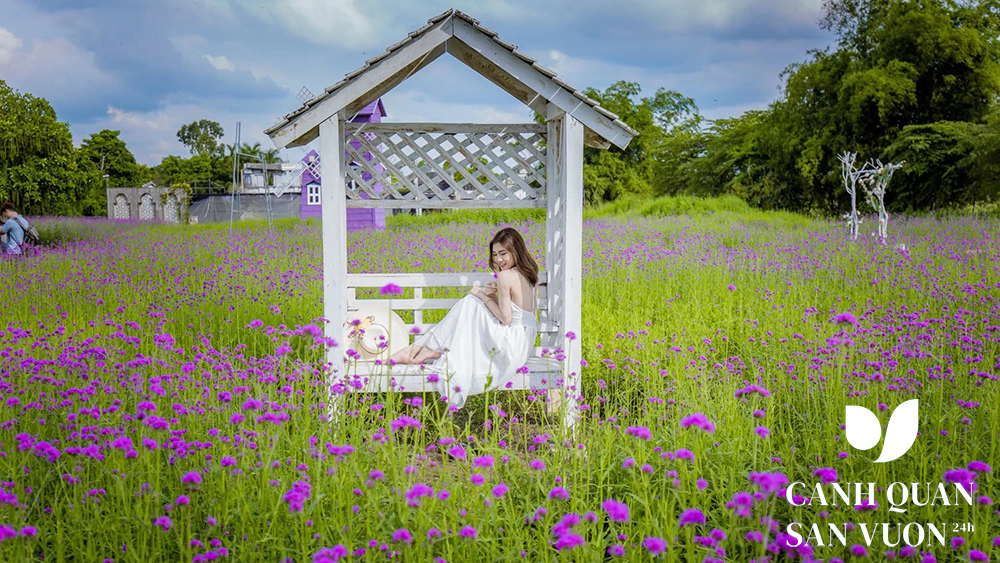 thiet ke vuon hoa 7