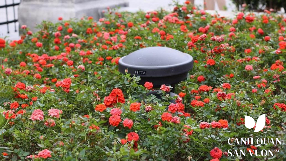 Khám phá các thông tin hữu ích về loa sân vườn 5 5 dòng loa ngoài trời sân vườn phổ biến hiện nay