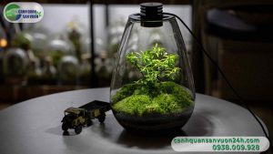 Terrarium 1