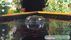 dai-phun-nuoc-ho-ca-koi-5