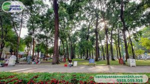 Cây công viên| Hướng dẫn cách chăm sóc hiệu quả