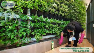 Cham Soc Vuon Tuong 1