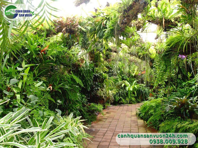 Tiểu cảnh rừng nhiệt đới: Cách thiết kế thi công hợp lý nhất bạn nên biết 1 Tieu Canh Rung Nhiet Doi 2