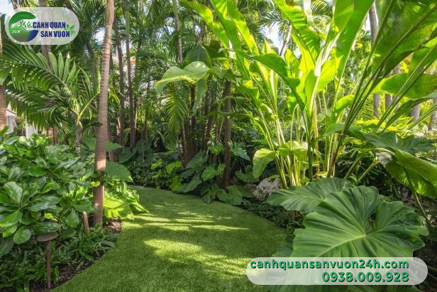 Tiểu cảnh rừng nhiệt đới: Cách thiết kế thi công hợp lý nhất bạn nên biết 3 Tieu Canh Rung Nhiet Doi 4