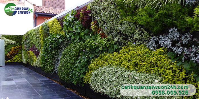 Cách trang trí thảm cỏ trên tường đơn giản, dễ làm nhất 2 Trang Tri Tham Co Vuon Tuong 3