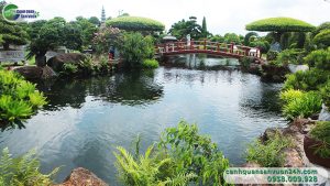 san vuon biet thu nen trong cay gi 1