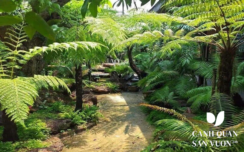 cay kieng trong truoc san nha 7