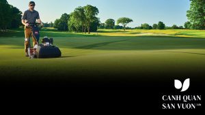 cham soc co san golf 1